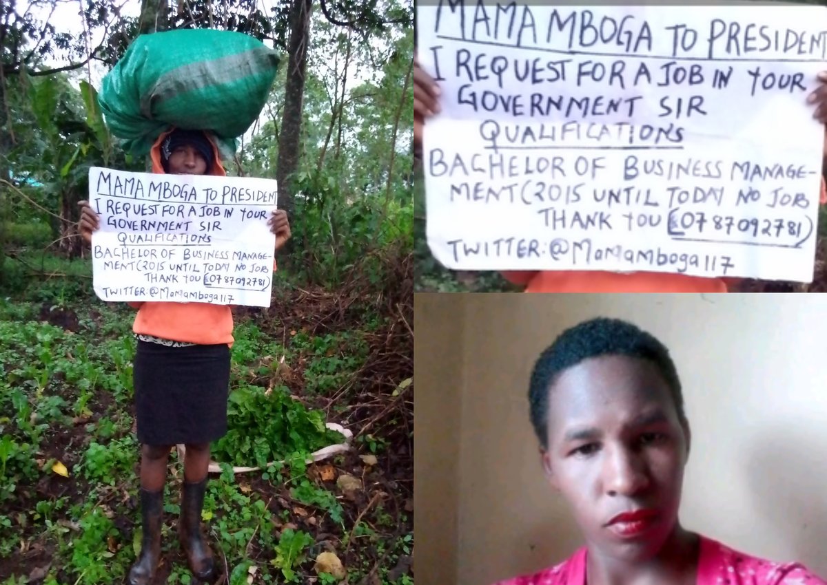 "Unikumbuke!" Mama mboga from Kericho asks President William Ruto to employ her in his government. 

32-years-old Gladys Chepkoech told TUKO that she has been jobless for seven (7) years since she graduated with a Bachelor of Business Management degree.

<a href="/mamamboga117/">mama mboga</a>

#tukonews