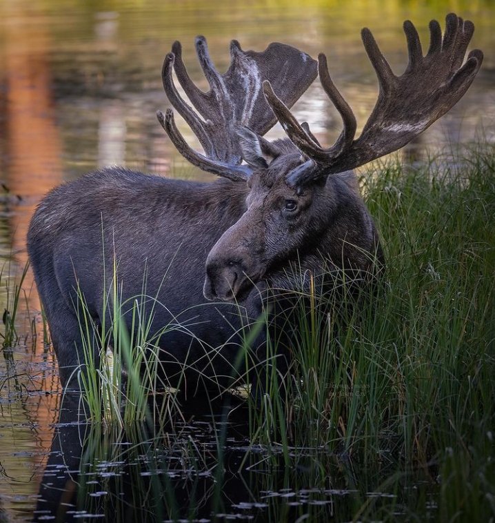 Hi.. Friends 😻🤗🌱