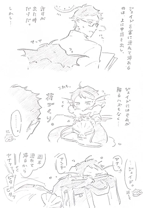 一緒に帰るぅぅぅ!!!! ポンデ稚魚トレジェイ🍩🐟✨ 
