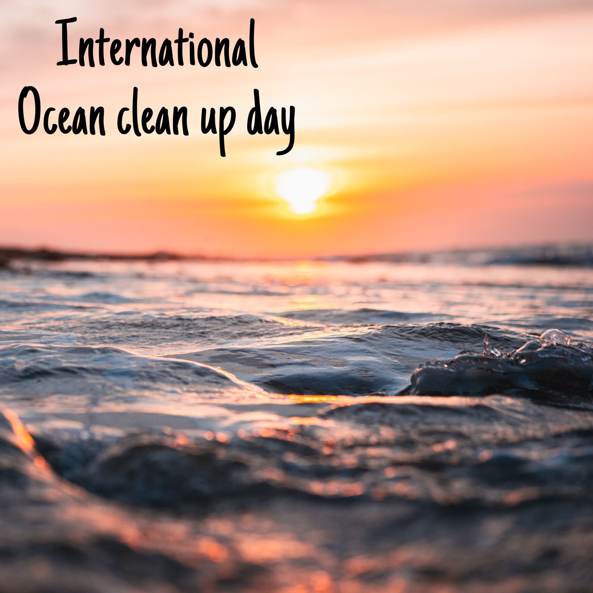 _kartik_rautela's tweet photo. Be a wise man, Ocean is not a garbage can.
Save Ocean !
Save Marine life !
No More Plastic in Ocean !
#swachhsagarsurakshitsagar #AscoNoida #Aimst #Internationaloceancleanupday https://t.co/r8oaFSKzcv
