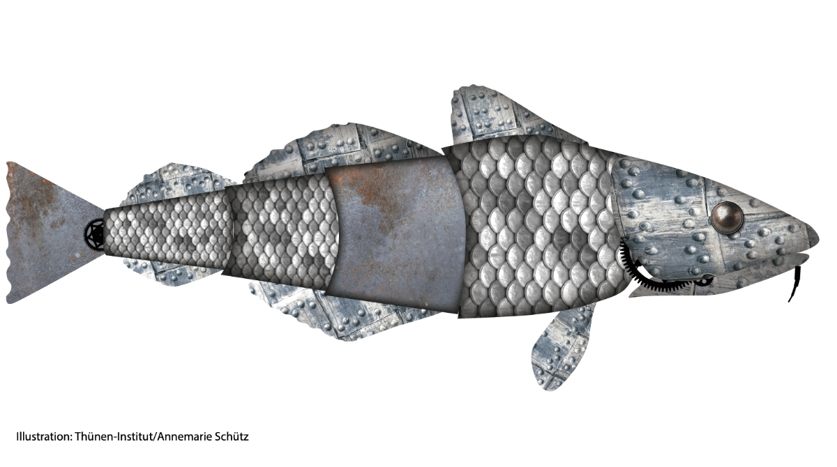 Die unterschiedl. Wahrnehmungen von Stakeholdern auf die Situation des #Dorsch|es in der westl. #Ostsee u. Vorstellungen von nachhaltigem Management heute beim Abschlussworkshop des @BMBF_Bund-Projektes marEEshift im <a href="/Thuenen_aktuell/">Thünen-Institut</a> in HRO. <a href="/LeibnizIGB/">IGB Berlin (now on Bluesky)</a> <a href="/unihh/">Universität Hamburg</a> <a href="/UniFreiburg/">Universität Freiburg</a> <a href="/idiv/">iDiv Biodiversity Research</a>