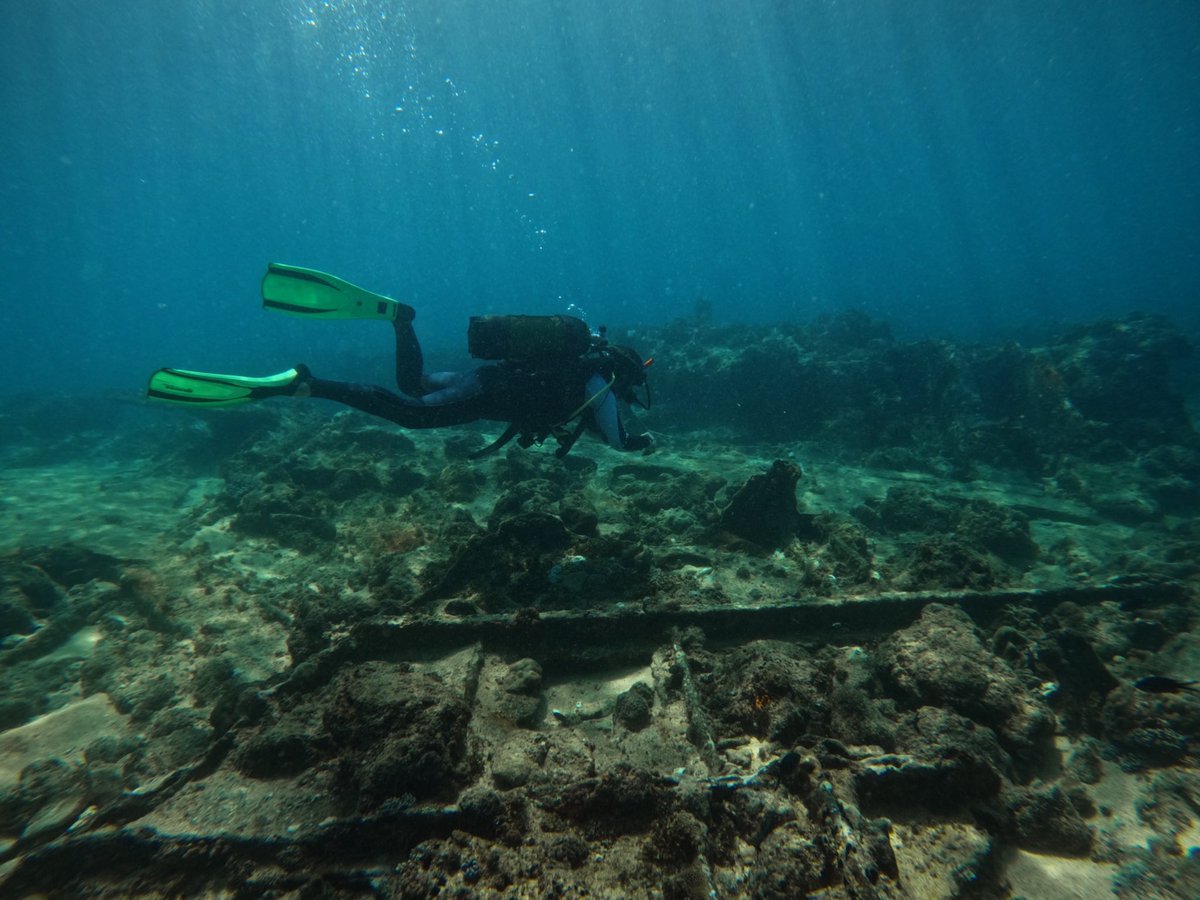 Rising from the Depths tweet media