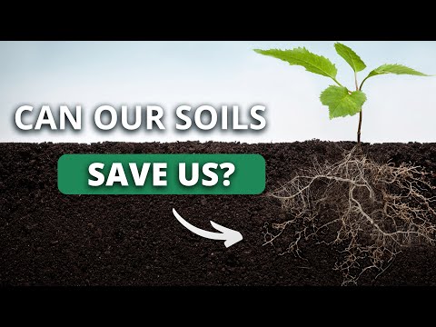museum_nature's tweet photo. Thriving Soil Ecosystems are a Solution #Ecosystem #MotherNature #MotherEarth [Video]: Join our panelists as we talk about our hope from the biosphere: thriving fungi and soil ecosystems are the solution! Register to... https://t.co/tocrPghqQO https://t.co/NCztN5sY6Q