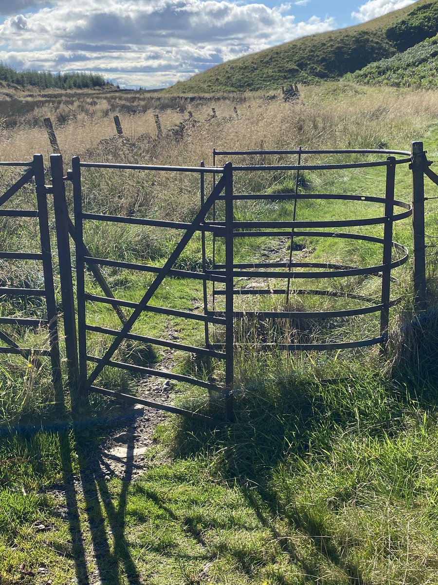 LizzieHelenMay's tweet photo. Many a gate, kisser & stile on the old #droveroad between Glendevon & #CastleCampbell yesterday #Perthshire #WalkScotland @LakesStiles https://t.co/HdnMIrNHsY