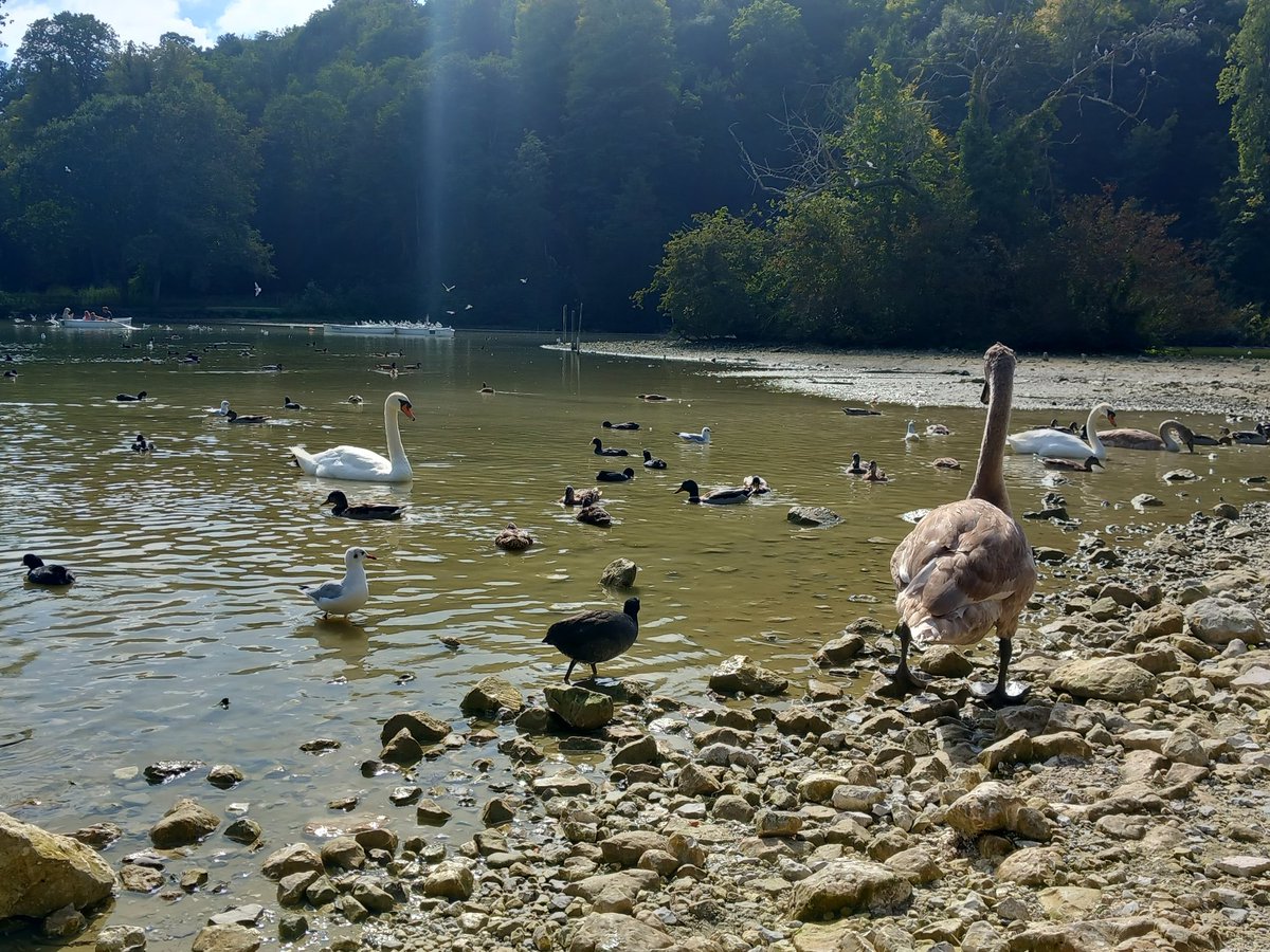 Wishing you all a good day xx