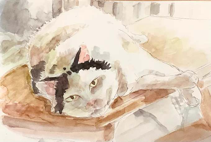 ちょい怖になっちゃったけど…悪くないな!#illustration 