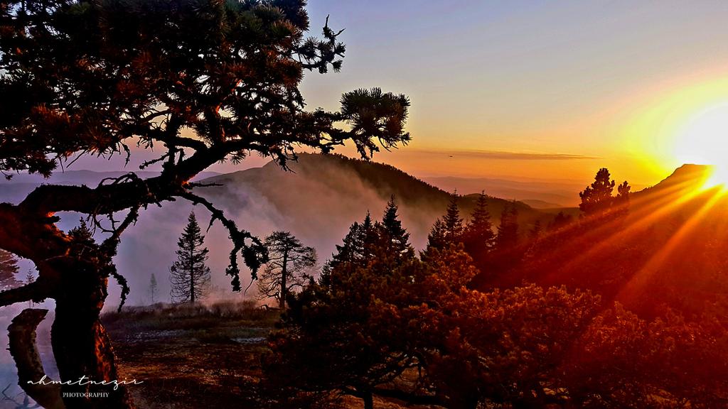 Çatalzeytin_Koru Yaylası
Kastamonu
#Çatalzeytin 
#Kastamonu 
#doga 
#Güneş 
#akşam 
#forest 
#NaturePhotography 
#nature 
#Turkey 
#tuerkiye