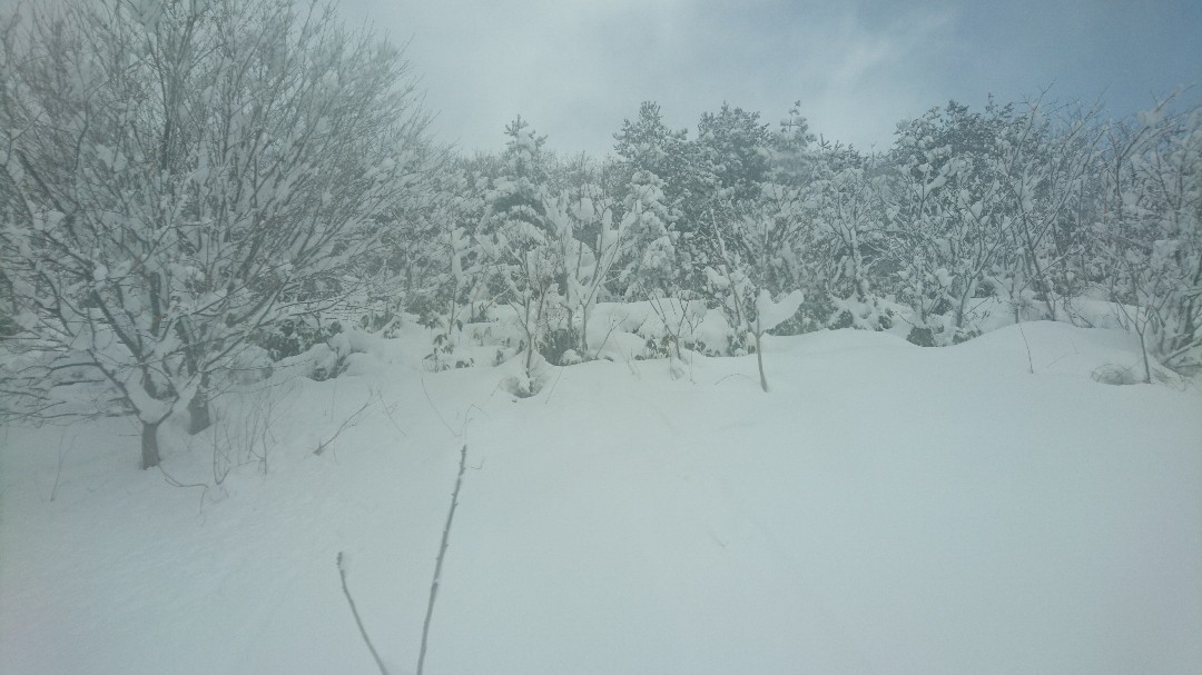 春夏秋に飽きたのでAIに描いてもらった雪です。4枚目は私のカメラロールの雪です 