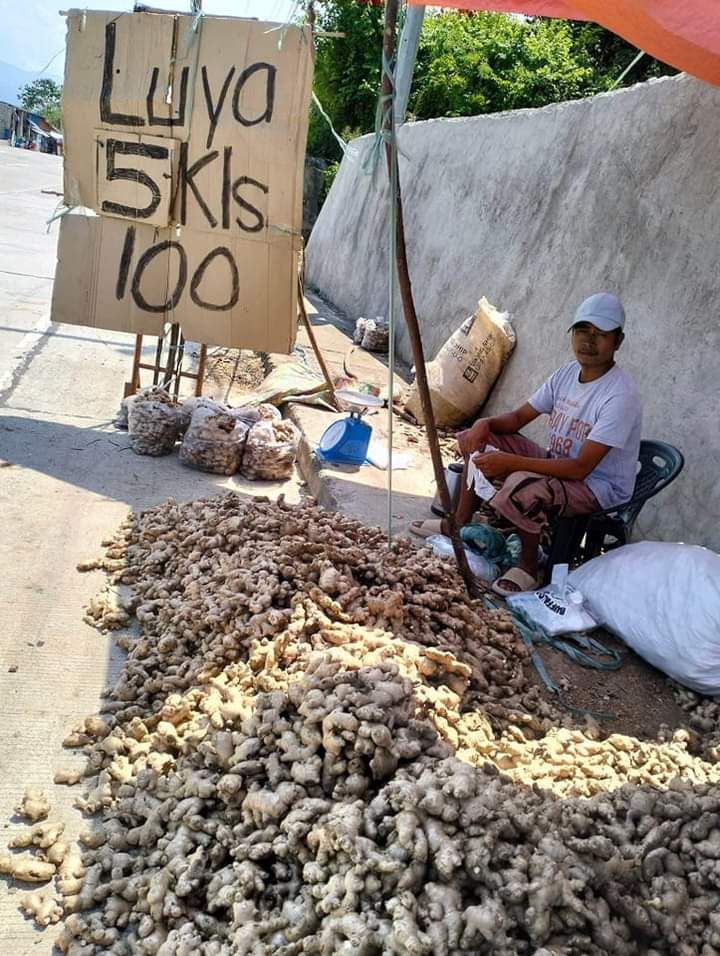 MashaMasha2022's tweet photo. Kawawa naman ang magsasaka, mukhang sila ang kinakawawa. DA secretary nyo napakainutil. https://t.co/KUBKqoTdvI