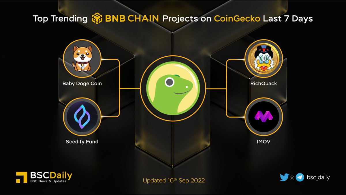 BSCDaily tweet media