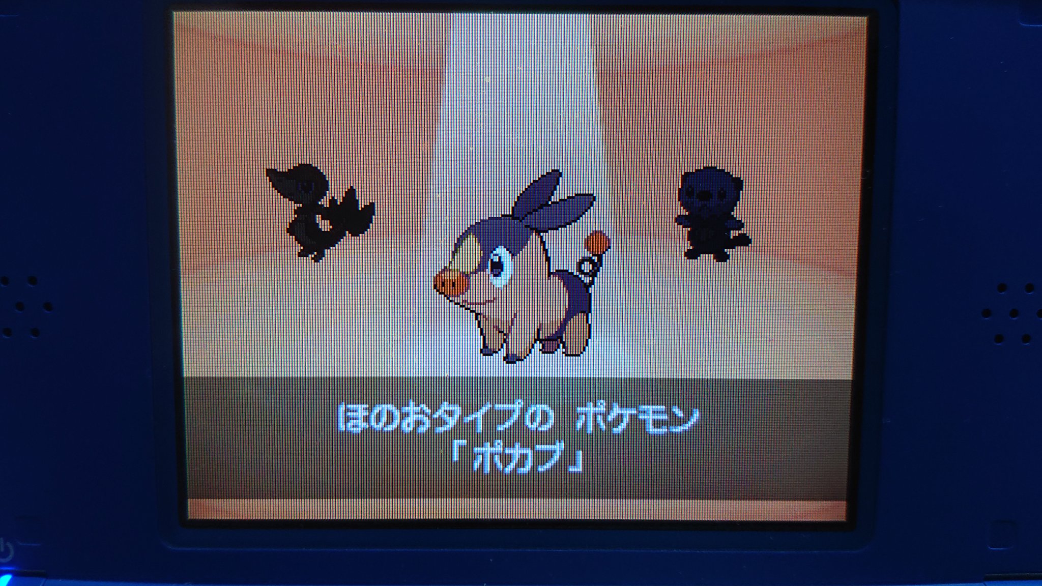 Daiki Bw2色旅 Pokepoke Daiki Twitter