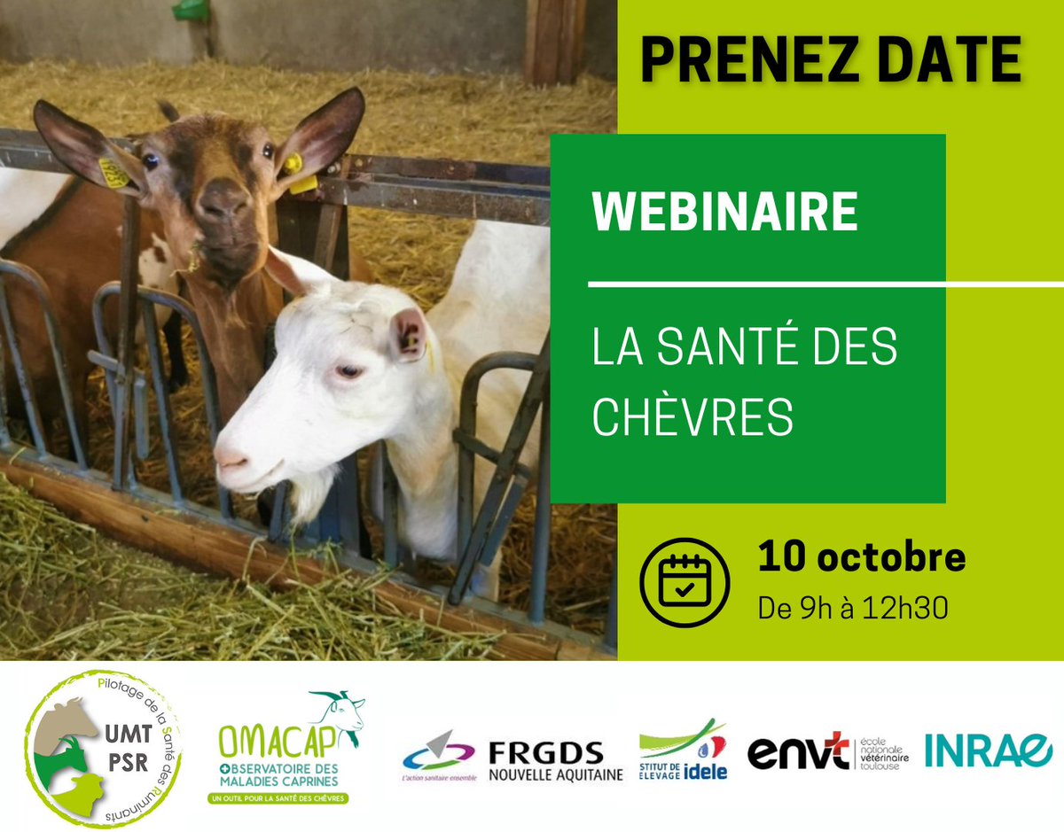 InstitutElevage's tweet photo. Prenez Date 📅 | Webinaire 💻 sur la #santé des #chèvres 🐐
👉 Organisé par l'@UMT_PSR et #OMACAP
📅 10 octobre 2022
🕘 9h - 12h30
📌 Le programme est en cours de finalisation 👍
🔸 Plus d'info : https://t.co/tWiOLWnlYv https://t.co/v2oNfJ1LoC