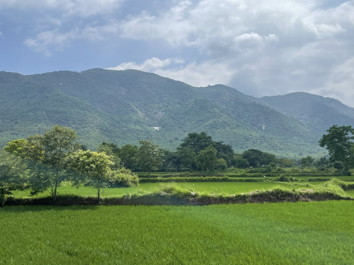 shuvrasis's tweet photo. Beautiful Odisha 😍 https://t.co/cZKuEh4jo3