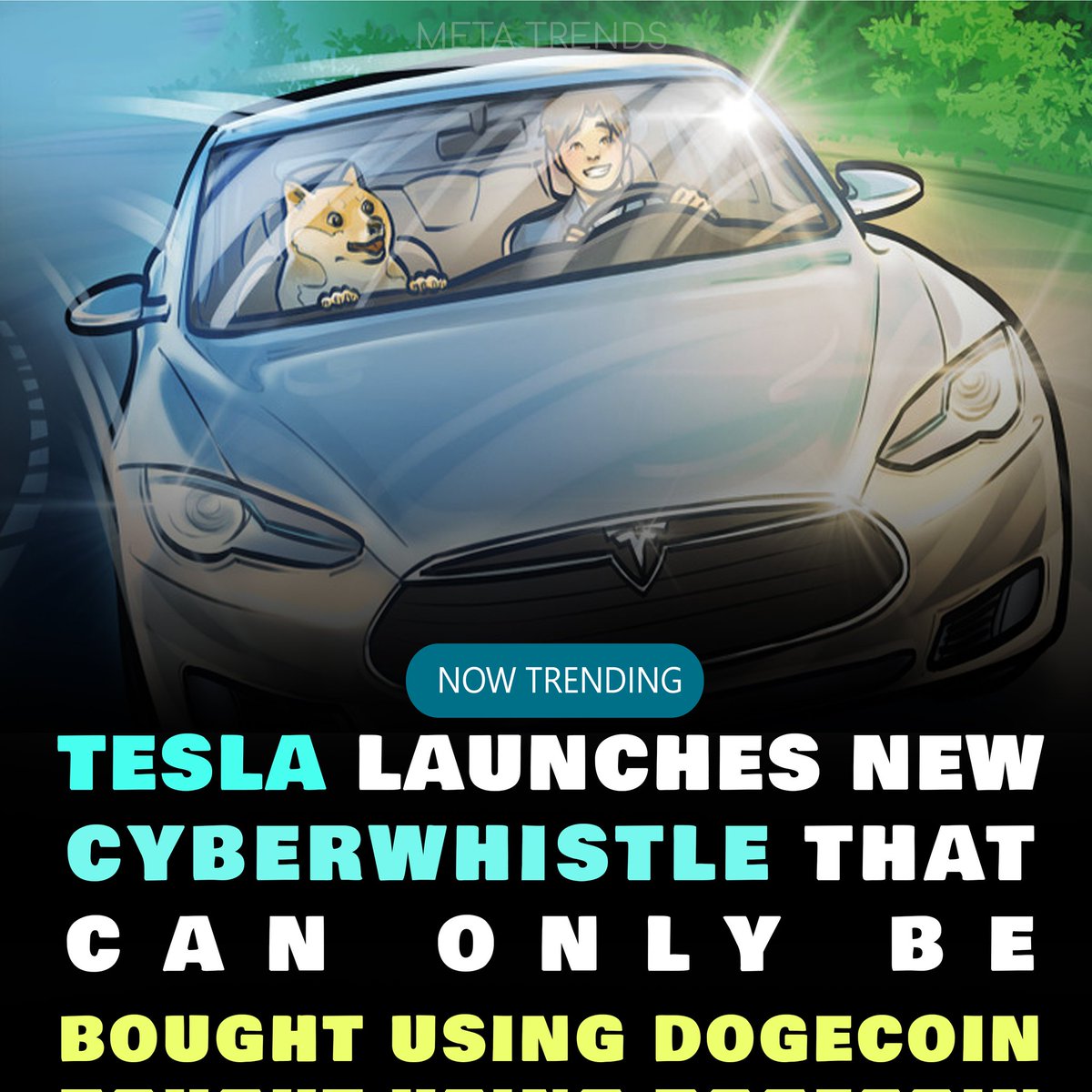 #ElonMusk #Tesla #doge #dogecoin #Crypto