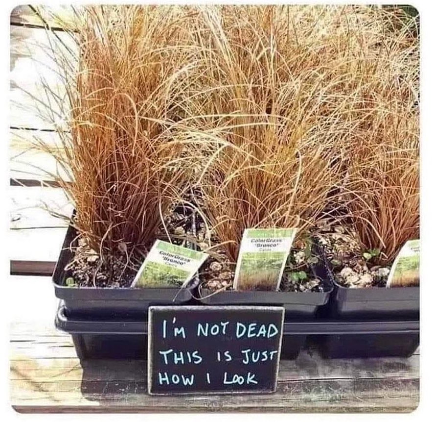 Me turning up to 9am meetings