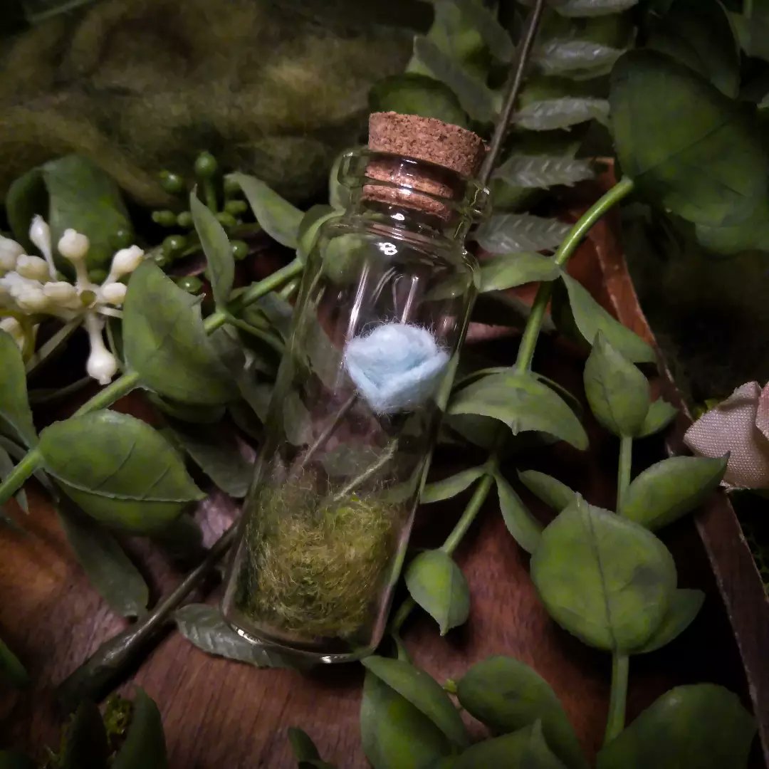 A tiny flower terrarium for all of your tiny flower needs 😊🌷

#forestcore #fairycore #Cottagecore