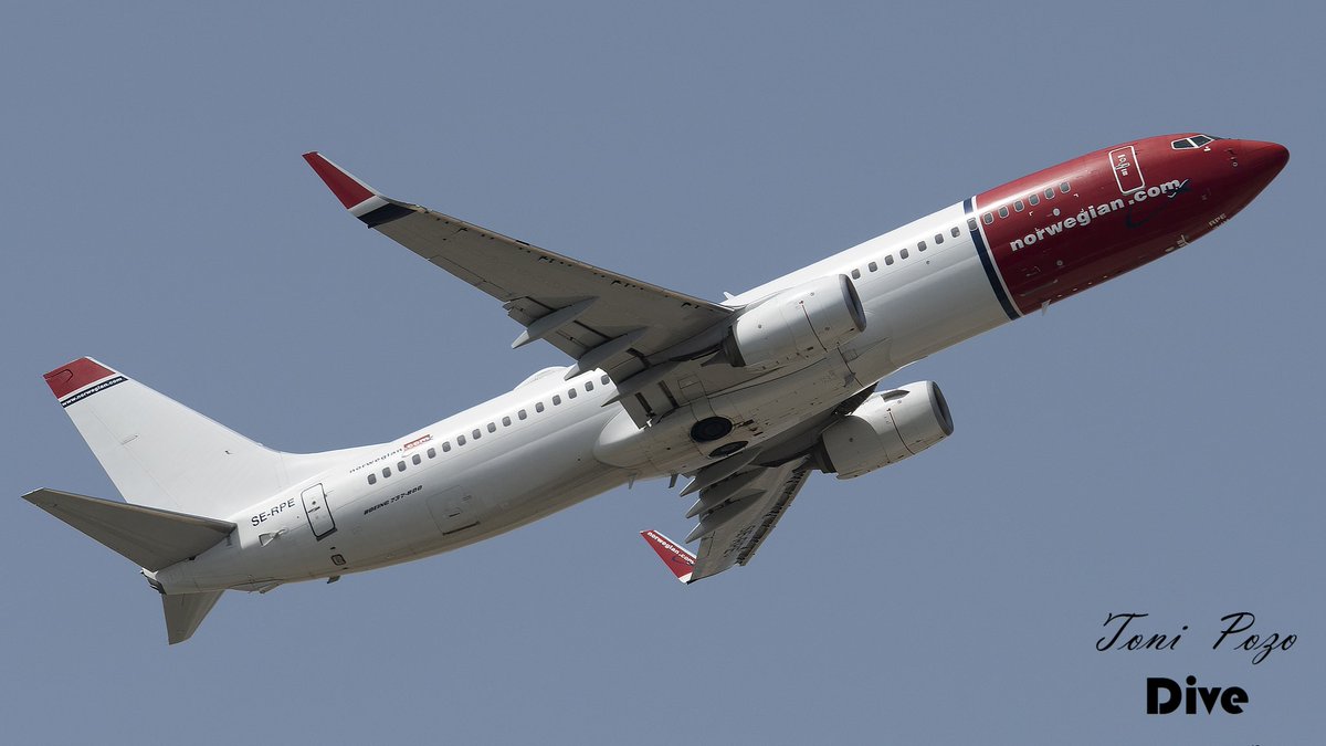 𝕋𝕆ℕ𝕀 ℙ𝕆ℤ𝕆 tweet media