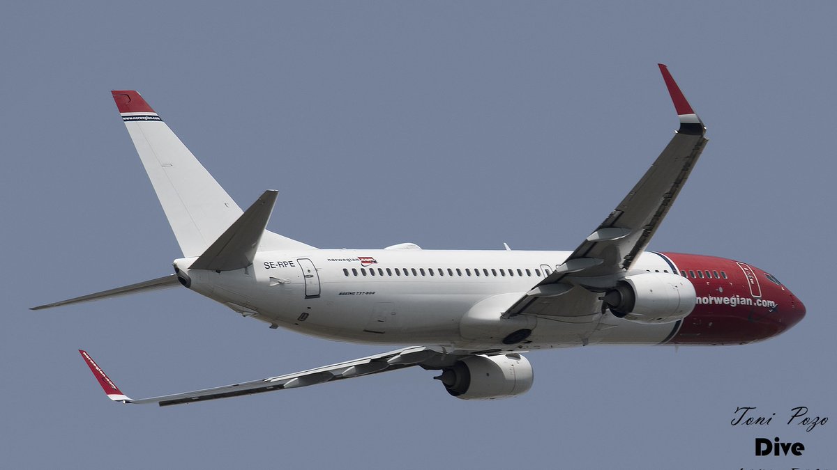 𝕋𝕆ℕ𝕀 ℙ𝕆ℤ𝕆 tweet media