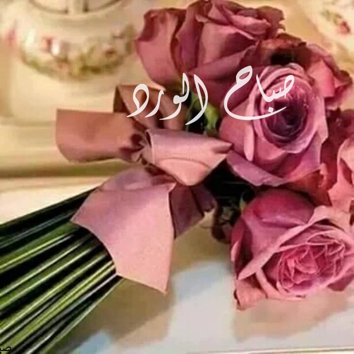 ماهر ابو راضى (@mhrbwry1) on Twitter photo 