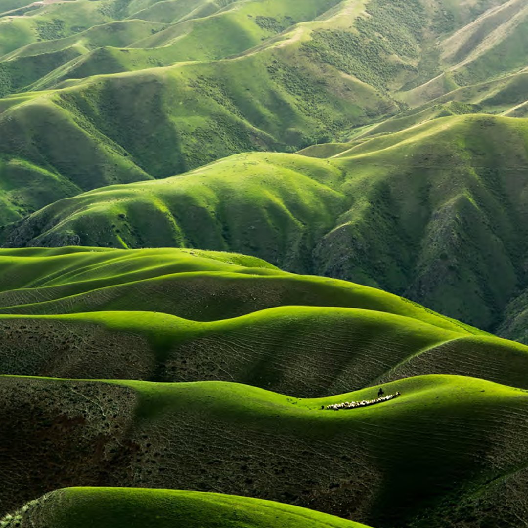 Programme Noé tweet media