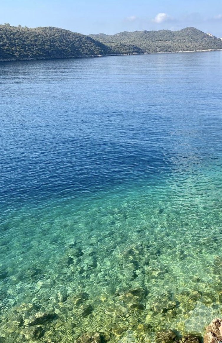 MCouple34's tweet photo. Morning 🏖️ 🌞 https://t.co/KrnpWOiElm