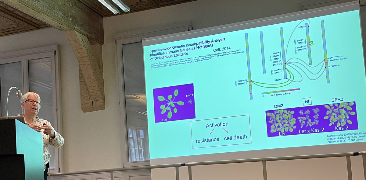 Sophien Kamoun (@kamounlab) on Twitter photo A biochemical perspective of immune networks—Jane Parker <a href="/ParkerLab_MPIPZ/">Parker Lab</a> highlighting the massive recent advances in #NLRbiology #WeigelFest science.org/doi/10.1126/sc… A biochemical perspective of immune networks—Jane Parker <a href="/ParkerLab_MPIPZ/">Parker Lab</a> highlighting the massive recent advances in #NLRbiology #WeigelFest science.org/doi/10.1126/sc…