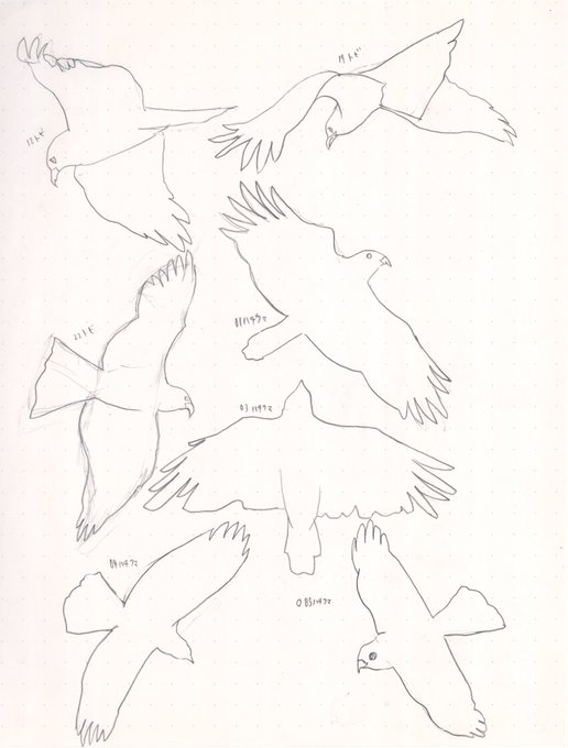飛ぶ鳥のtwitterイラスト検索結果