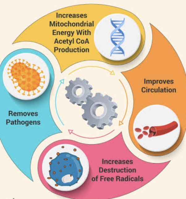 O3fi's tweet photo. On the occasion of World Ozone Day let us heal our body with Ozone therapy a complimentary holistic natural therapy. https://t.co/3wNHW4g4IS