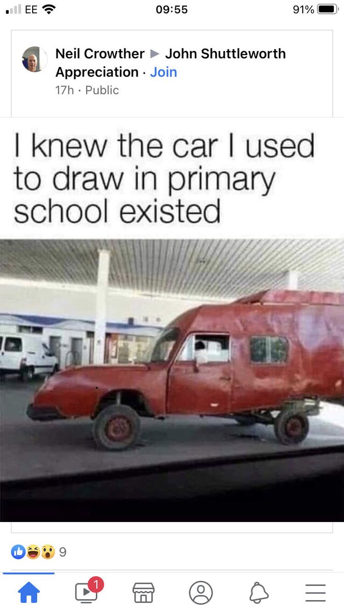 Whyte Horses tweet media