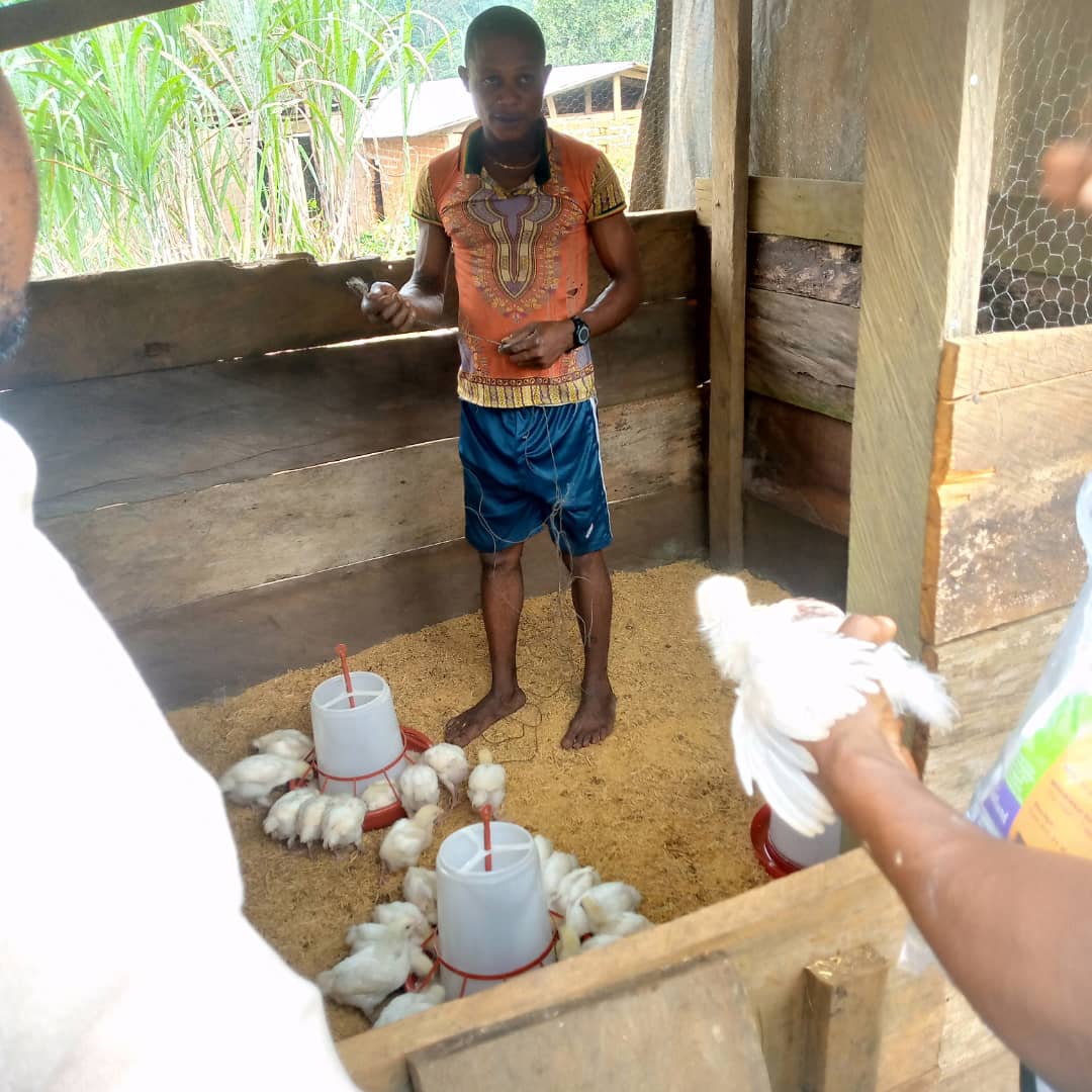 ALSED388311051's tweet photo. Improve nutrition, alleviate poorvaty and stop poaching, through poultry, piggery and goat farming. Hunters enguagement strategy in TAKAMANDA national Park in Akwaya. https://t.co/8jlxELBeCU