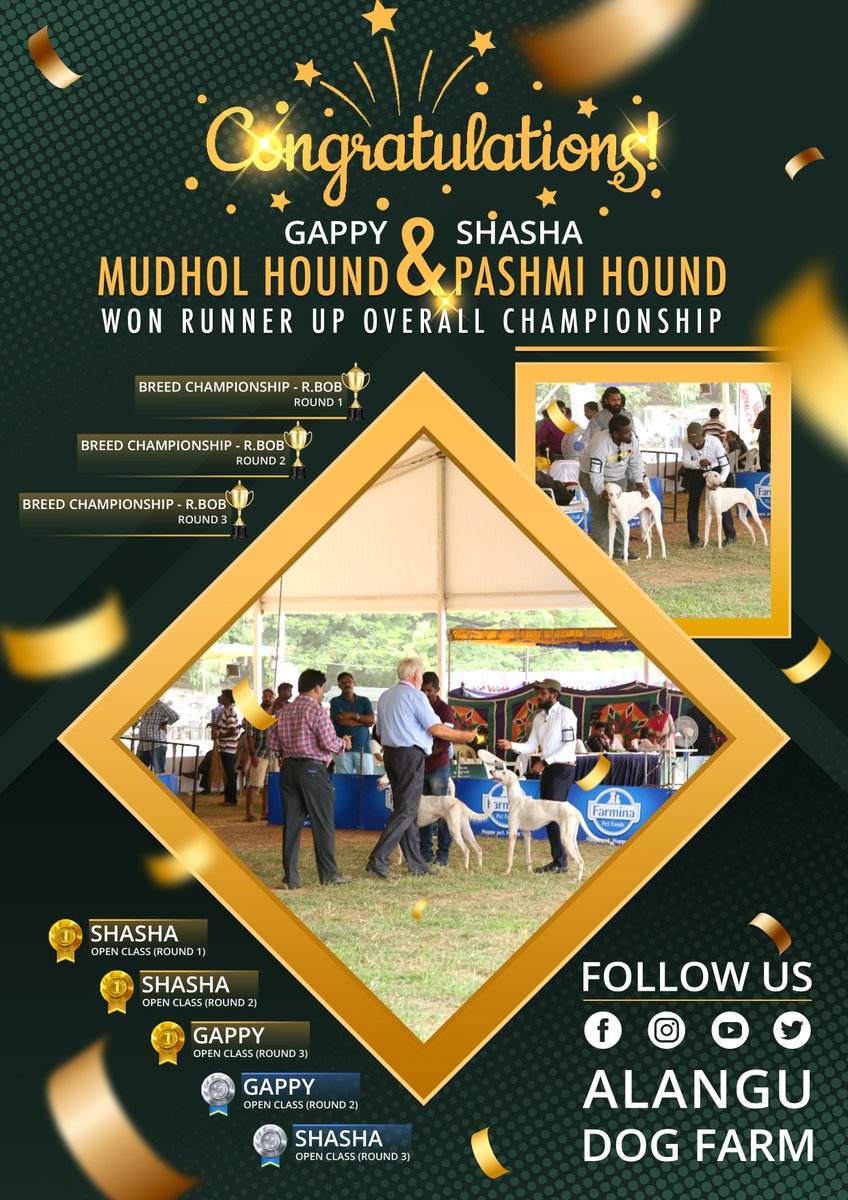 AlanguDog's tweet photo. Our Dog has Won Runner Up Over All Championship
in Madras Canine Club a part of KCI 
@Sambandam @Praywin6 
#dogshow #kci #WINNER #bestbreed https://t.co/ftCOz8bmoj