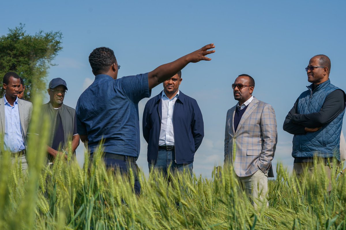 AbiyAhmedAli's tweet photo. የምሥራቅ ሸዋ ዞን ብቻ እንኳ 7 ሚልየን ኩንታል ምርት ለመሰብሰብ ዐቅዷል። ግብርናን ማዘመን የላቀ ውጤት ያስገኛል! 2/2 https://t.co/CRHJP7flto