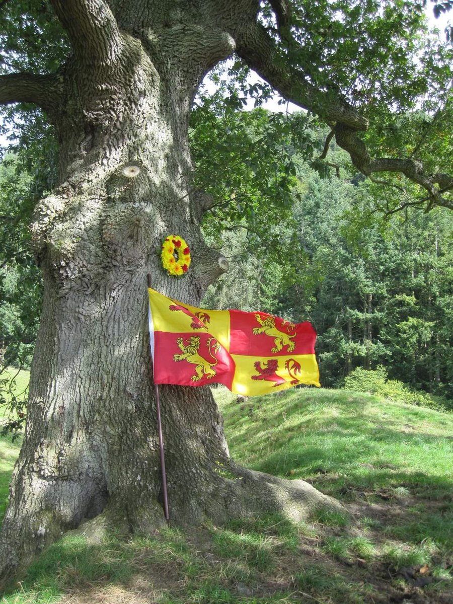 BethanLlyfrgell's tweet photo. Medi 16 #OwainGlyndwr #Sycharth https://t.co/l8Sk0f4Ntq