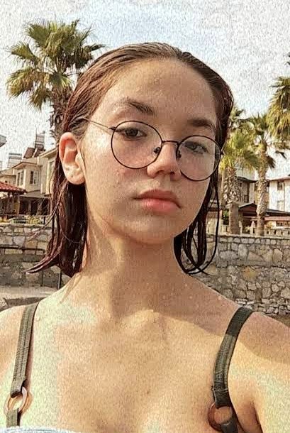 Galerindeki son fotoğrafı at.