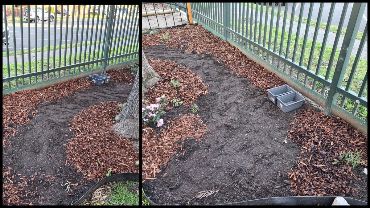 The Kinder area ' Forrest Garden ' now almost finished! Lots of flowering plants, mixed with herbs and Blueberry bushes! A great sensory experience for the students to enjoy!

<a href="/IPSInglerock/">Inglerock Canteen</a> 
<a href="/IngleburnPs/">Ingleburn PS</a>