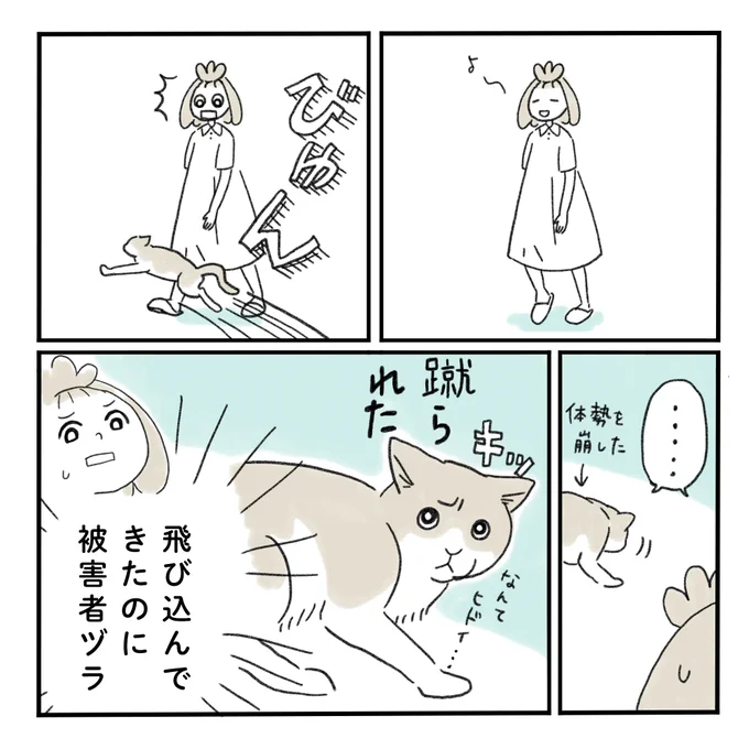 当たり屋

#みちこの日記 
