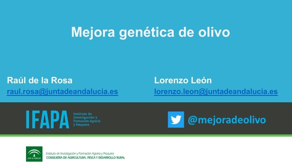 mejoradeolivo's tweet photo. Hoy mi compañero @raulrosanavarro y yo estaremos explicando nuestro programa de mejora de olivo en el #CSEO, primero en clase y luego en el campo. https://t.co/YwEJb3Ilbn