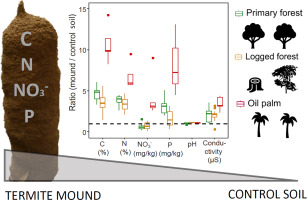 antscience's tweet image. Did you ever wonder how much termites and ants change soil properties in and around their nest in tropical habitats? Here is a new study from our lab highlighting that termites are more important in this respect. sciencedirect.com/science/articl…