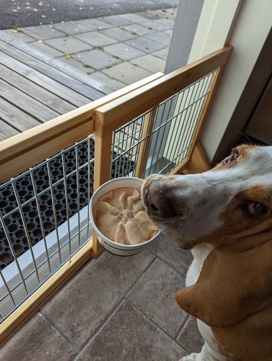 sirtibblesdog's tweet photo. Yesterday Dad got us dog ice cream and I decided to have mine al fresco. #ScuseMe #LetMeOutside https://t.co/CZWAMMXLtV