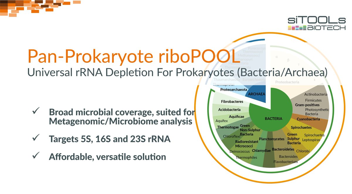 siTOOLsBiotech's tweet photo. Better RNA-Seq for Microbes! 🧫 Improve and economize microbial RNA-Seq experiments. More information on our Pan-Prokaryotes, Pan-Archaea and Pan-Bacteria #riboPOOLs here: https://t.co/75HFZldZdW 😎 #siTOOLs #RNA https://t.co/DHwqKVBbAU