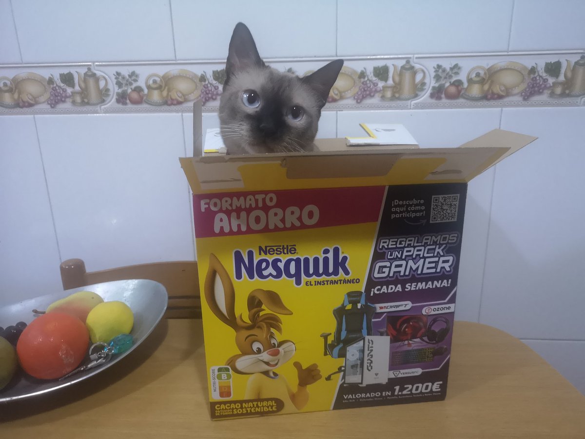 irenefmweb's tweet photo. @NesquikGaming Porque a mi familia nos encanta el nesquik y a mi gata la caja! https://t.co/Y6IdTf58Cd