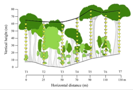 antscience's tweet image. Species turnover in ant assemblages is greater horizontally than vertically in the world’s tallest tropical forest onlinelibrary.wiley.com/doi/full/10.10…