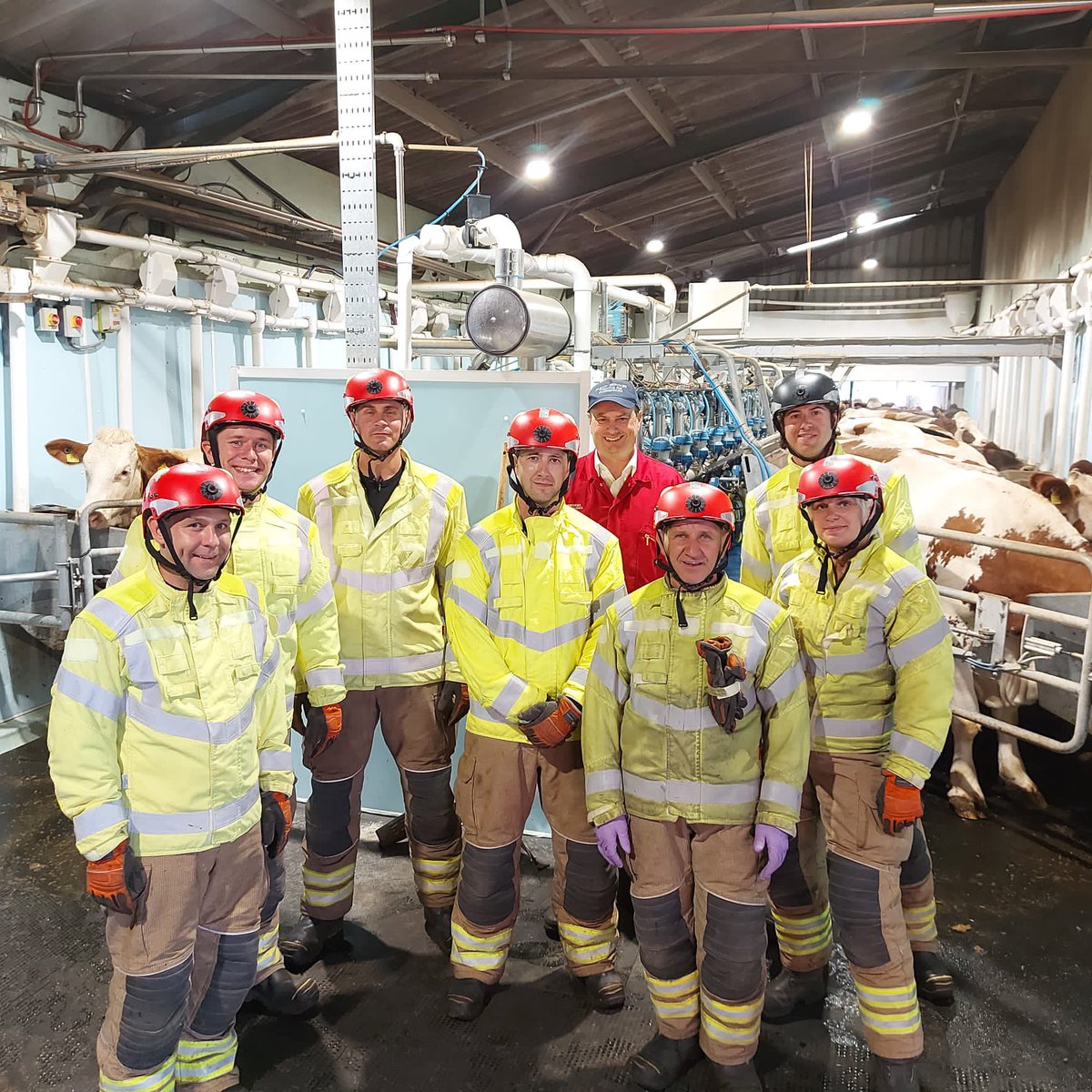 SFRSTraining's tweet photo. Great week training new L2 Animal Rescue personnel @SuffolkFire  We have to thank @OldHallFarm and @FenFarmDairy for assisting in live animal training #partnerships #oneteam https://t.co/myqaqjPDxA