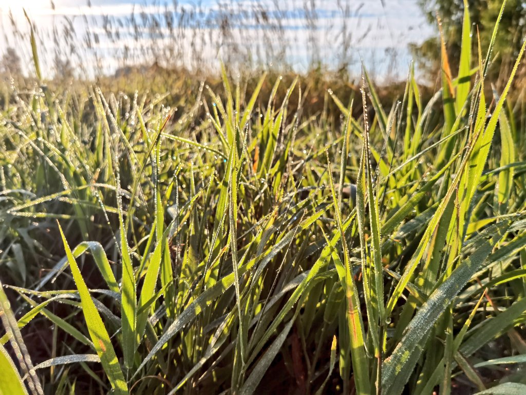 _ajimaster's tweet image. Под конец сезона🎣🌤️
#freshwaterfishing