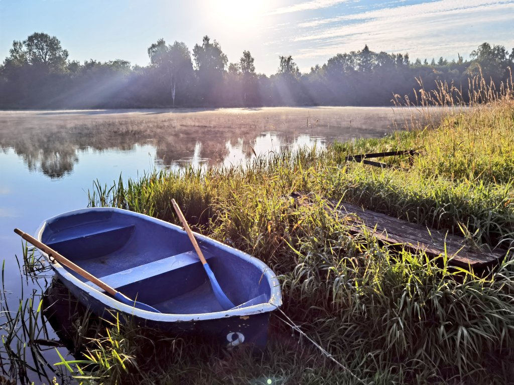 _ajimaster's tweet image. Под конец сезона🎣🌤️
#freshwaterfishing