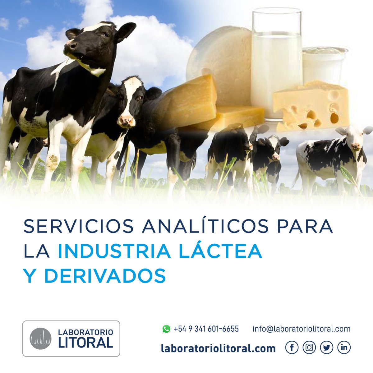 LabLitoral's tweet image. Laboratorio Litoral brinda Servicios Analíticos para la INDUSTRIA LÁCTEA Y DERIVADOS.
-
Para más Información: lnkd.in/drff-4VR

📞Contacto: 341 527 8944
WhatsApp: 341 601 6655
info@laboratoriolitoral.com