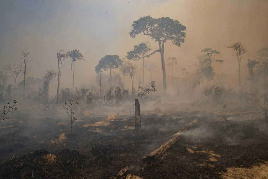 hrw's tweet photo. Burning in Amazon Accelerates...

Daily Brief: https://t.co/tDEQKYM1zF https://t.co/aSy6MCihii