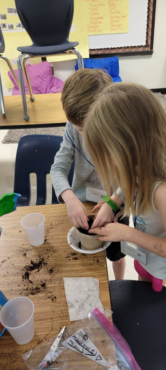 HillsideTAG's tweet photo. 1st grade Huskies planting our Loma Beans that have been in a baggie in the window. What will happen nex @AHuskyste @pta_hillside @media_hillside @HardrayDumas https://t.co/TQ2wgYtqkO