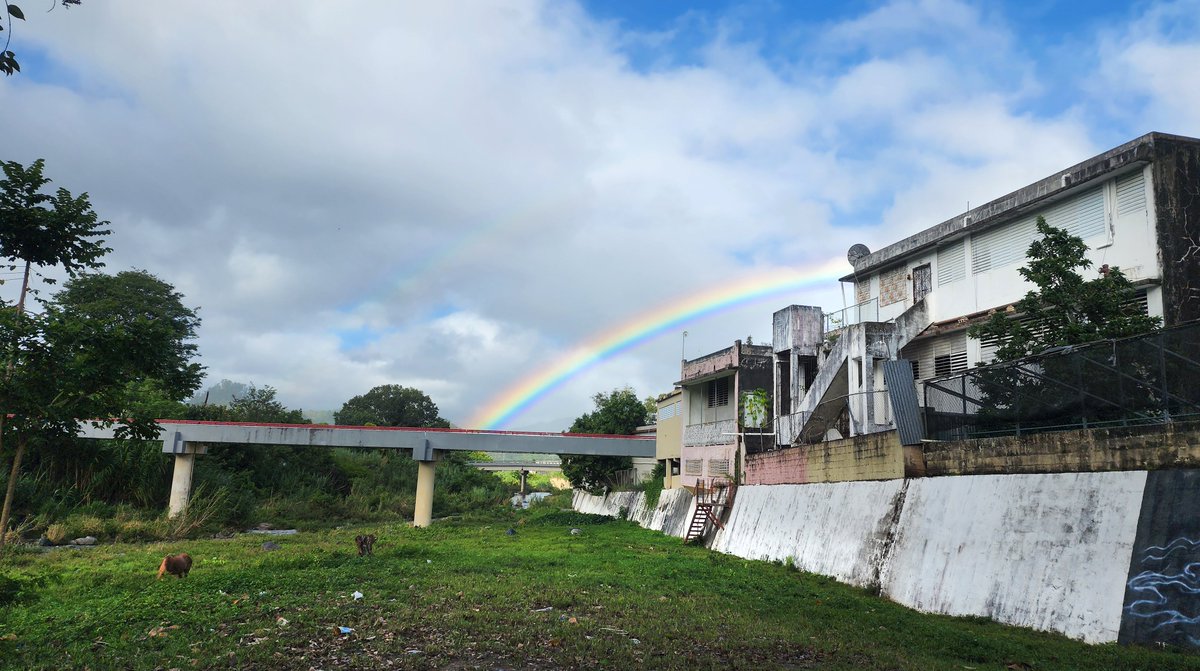 veronicadomcar's tweet photo. Así comienza el día en Jayuya... con un hermoso paisaje antes de que llegue la tormenta. #antesquellegueFiona #jayuyaesunparaiso
@DeborahTiempo #PuertoRico #tormentatropicalfiona @tele11PR #beforetropicalstormfiona @LasNoticiasT11 https://t.co/nUvC0SQYJG