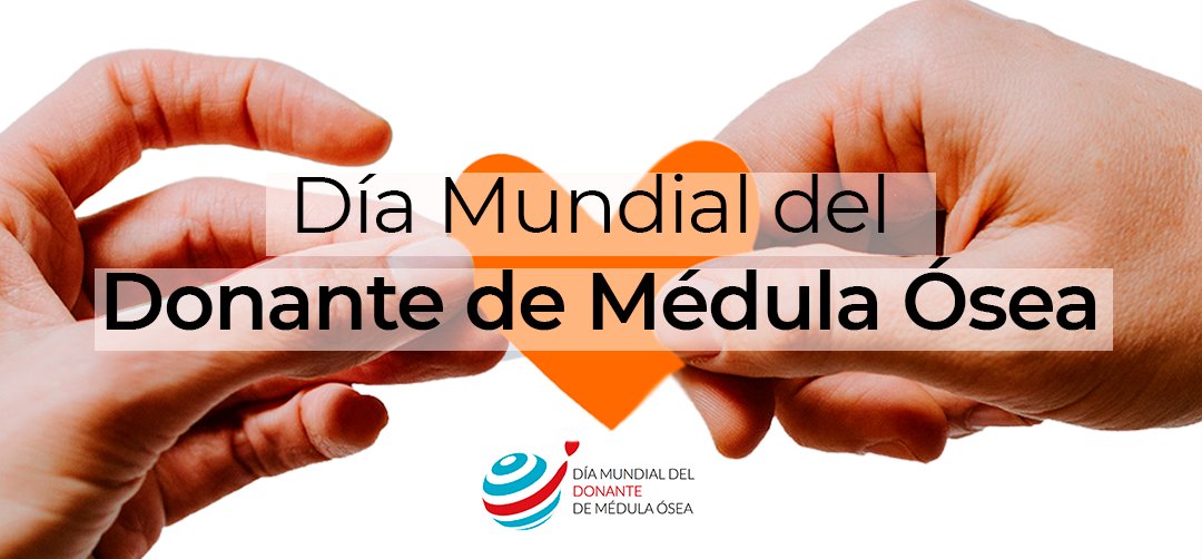 fcarreras's tweet image. GRACIAS. Es la primera palabra que nos viene a la mente cuando pensamos en los donantes de médula ósea. Personas anónimas que deciden hacer el mayor acto altruista: regalar VIDA 💝.
👀 youtube.com/watch?v=bal4qT… 
#DíaMundialdelDonantedeMédulaÓsea #thankyoudonor #WMDD2022 #WMDD
